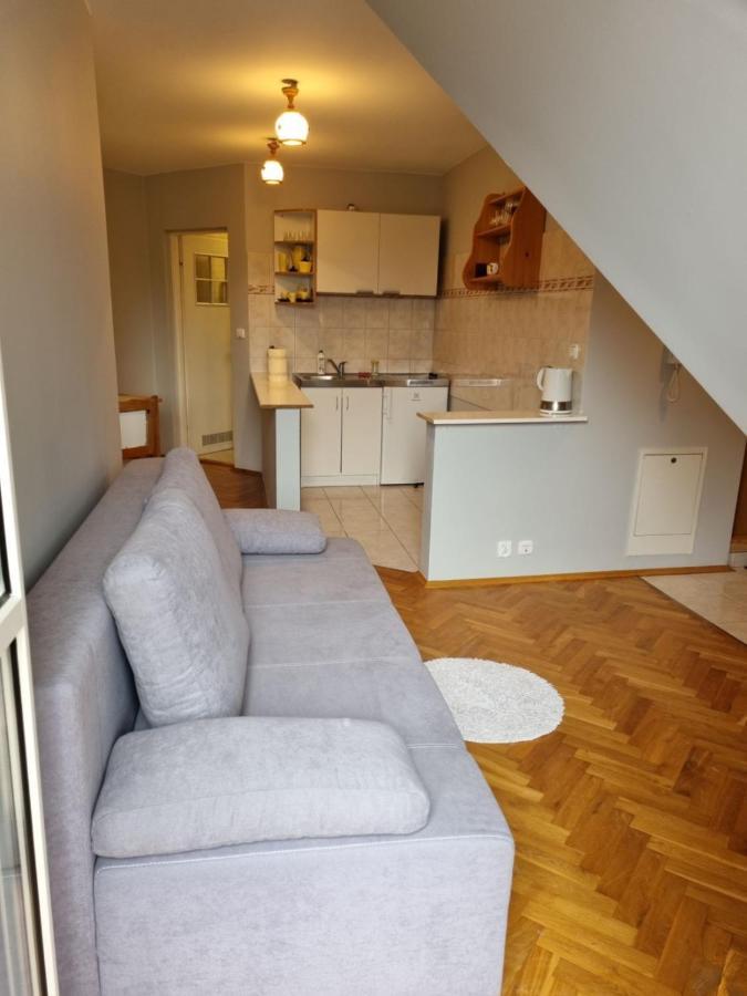 Apartament Droga Na Bystre 9A Zakopane Exteriér fotografie